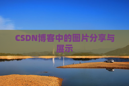 CSDN博客中的图片分享与展示